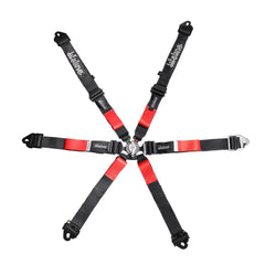 Lifeline Copse 6 pt FIA Harness - 2031 Expiration