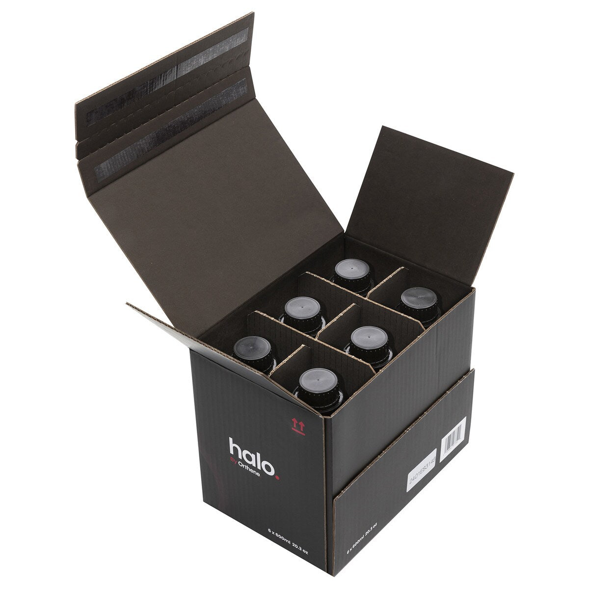 HAL-P1_media05.jpg